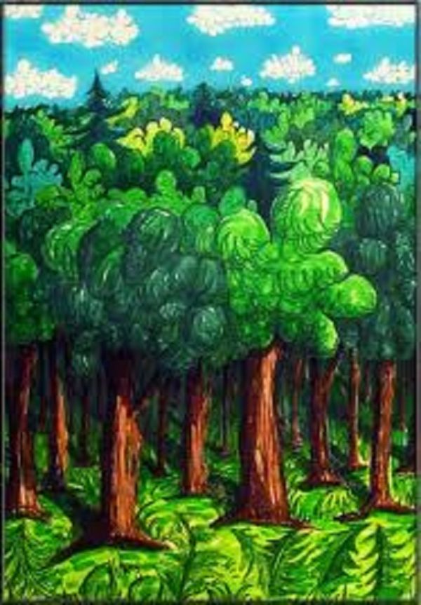 Forêt Forêt